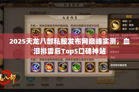 2025天龙八部私服发布网巅峰实测，血泪排雷后Top5口碑神站