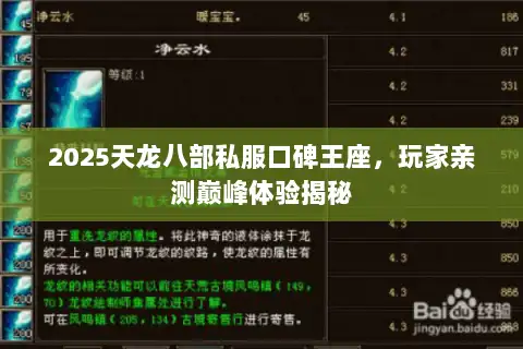 2025天龙八部私服口碑王座,玩家亲测巅峰体验揭秘 2025天龙八部私服口碑王座,玩家亲测巅峰体验揭秘