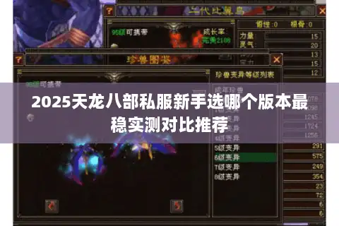 2025天龙八部私服新手选哪个版本最稳实测对比推荐