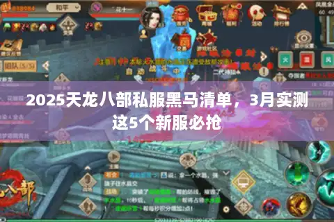 2025天龙八部私服黑马清单，3月实测这5个新服必抢