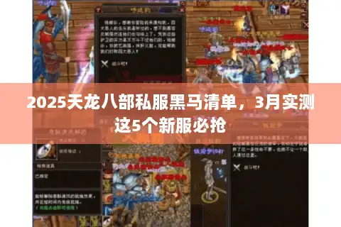 2025天龙八部私服黑马清单，3月实测这5个新服必抢