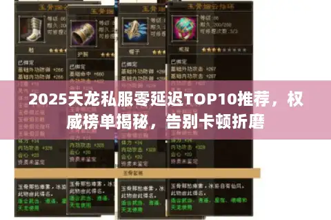 2025天龙私服零延迟TOP10推荐，权威榜单揭秘，告别卡顿折磨