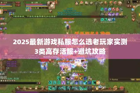 2025最新游戏私服怎么选老玩家实测3类高存活服+避坑攻略