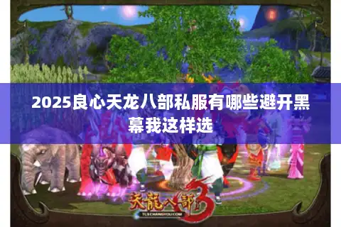 2025良心天龙八部私服有哪些避开黑幕我这样选 2025良心天龙八部私服有哪些避开黑幕我这样选
