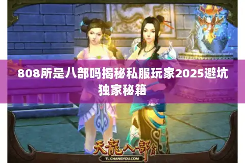 808所是八部吗揭秘私服玩家2025避坑独家秘籍