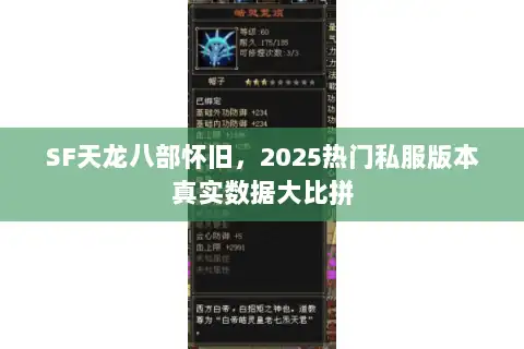 SF天龙八部怀旧，2025热门私服版本真实数据大比拼