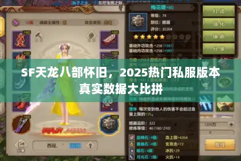SF天龙八部怀旧，2025热门私服版本真实数据大比拼