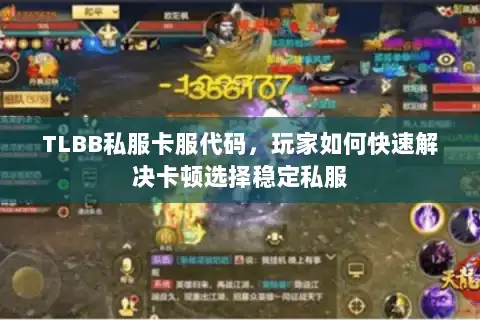 TLBB私服卡服代码，玩家如何快速解决卡顿选择稳定私服