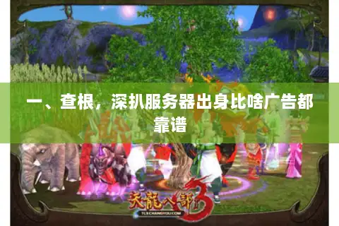 一、查根，深扒服务器出身比啥广告都靠谱