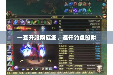 一查开服网底细，避开钓鱼陷阱