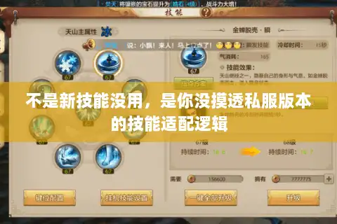 不是新技能没用，是你没摸透私服版本的技能适配逻辑