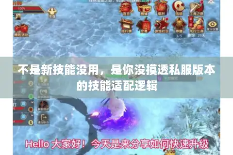 不是新技能没用，是你没摸透私服版本的技能适配逻辑
