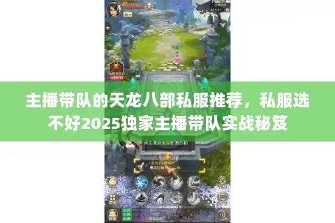 主播带队的天龙八部私服推荐，私服选不好2025独家主播带队实战秘笈