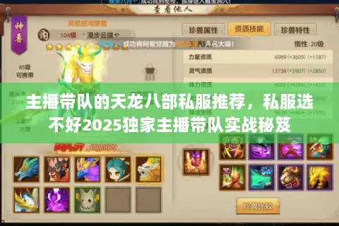 主播带队的天龙八部私服推荐，私服选不好2025独家主播带队实战秘笈