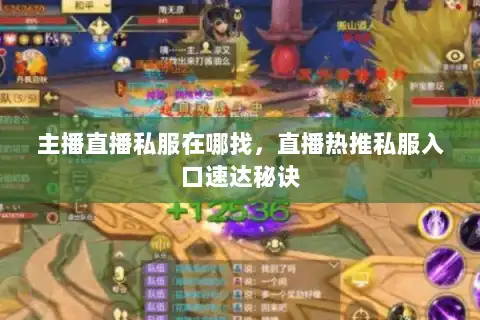 主播直播私服在哪找，直播热推私服入口速达秘诀