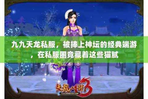 九九天龙私服，被捧上神坛的经典端游，在私服圈竟藏着这些猫腻