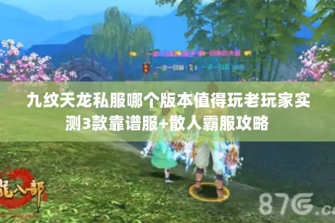 九纹天龙私服哪个版本值得玩老玩家实测3款靠谱服+散人霸服攻略
