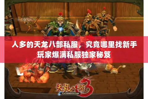 人多的天龙八部私服，究竟哪里找新手玩家爆满私服独家秘笈