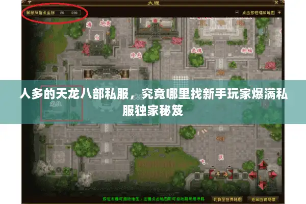 人多的天龙八部私服，究竟哪里找新手玩家爆满私服独家秘笈