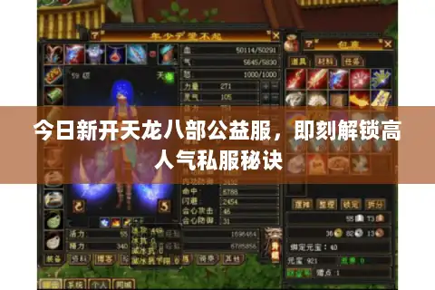 今日新开天龙八部公益服，即刻解锁高人气私服秘诀
