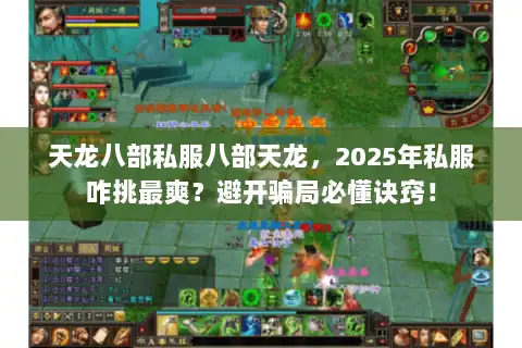天龙八部私服八部天龙，2025年私服咋挑最爽？避开骗局必懂诀窍！
