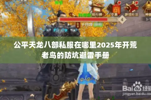 公平天龙八部私服在哪里2025年开荒老鸟的防坑避雷手册 公平天龙八部私服在哪里2025年开荒老鸟的防坑避雷手册