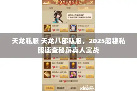 天龙私服 天龙八部私服，2025超稳私服速查秘籍真人实战