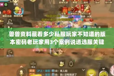 兽兽资料藏着多少私服玩家不知道的版本密码老玩家用3个案例说透选服关键