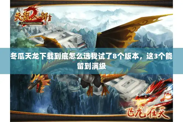 冬瓜天龙下载到底怎么选我试了8个版本,这3个能留到满级 冬瓜天龙下载到底怎么选我试了8个版本,这3个能留到满级