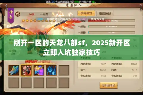 刚开一区的天龙八部sf,2025新开区立即入坑独家技巧 刚开一区的天龙八部sf,2025新开区立即入坑独家技巧