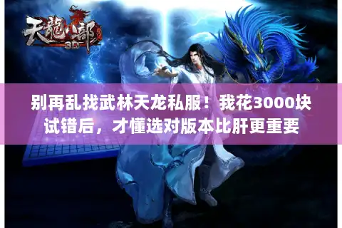别再乱找武林天龙私服！我花3000块试错后，才懂选对版本比肝更重要