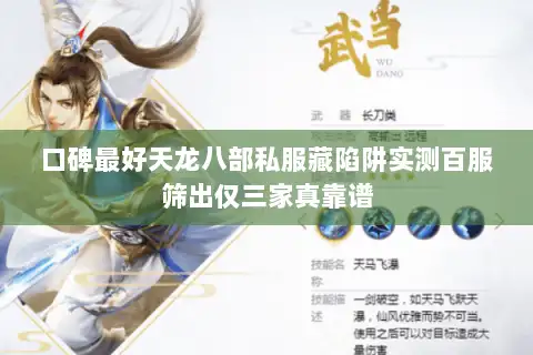 口碑最好天龙八部私服藏陷阱实测百服筛出仅三家真靠谱