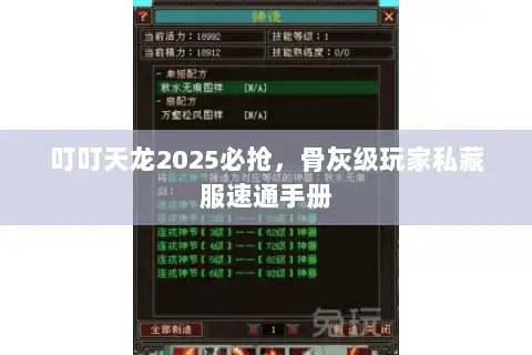 叮叮天龙2025必抢，骨灰级玩家私藏服速通手册