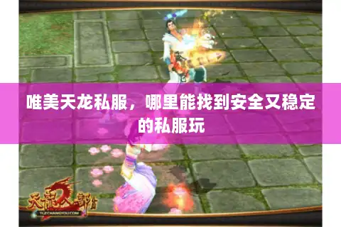 唯美天龙私服，哪里能找到安全又稳定的私服玩