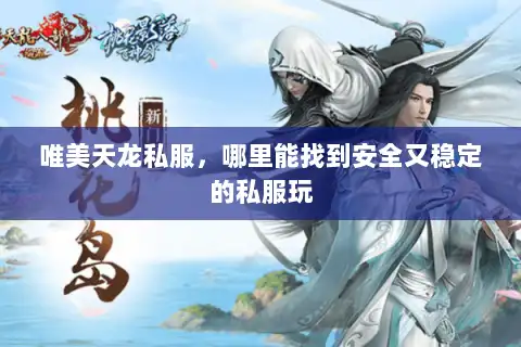 唯美天龙私服，哪里能找到安全又稳定的私服玩