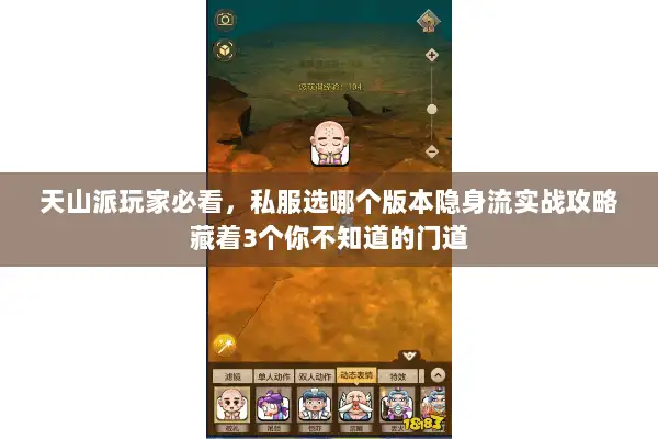 天山派玩家必看,私服选哪个版本隐身流实战攻略藏着3个你不知道的门道 天山派玩家必看,私服选哪个版本隐身流实战攻略藏着3个你不知道的门道