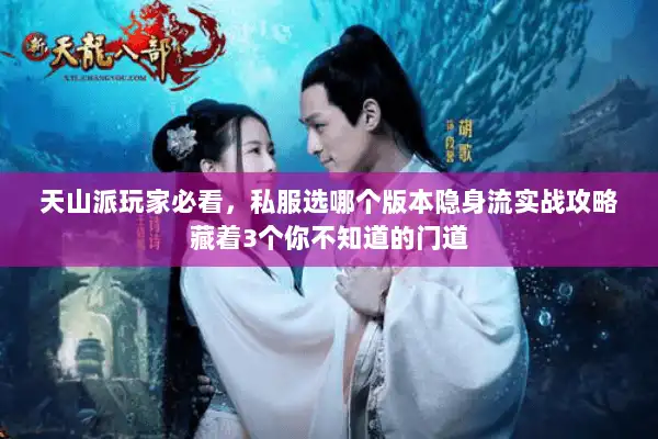 天山派玩家必看,私服选哪个版本隐身流实战攻略藏着3个你不知道的门道 天山派玩家必看,私服选哪个版本隐身流实战攻略藏着3个你不知道的门道