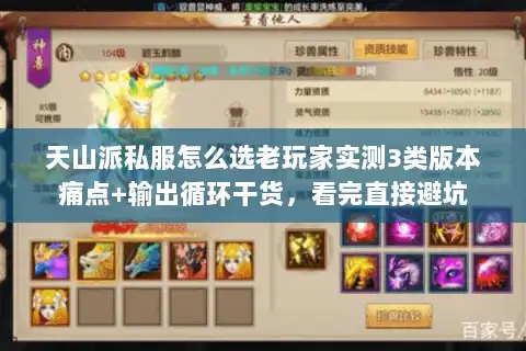 天山派私服怎么选老玩家实测3类版本痛点+输出循环干货，看完直接避坑