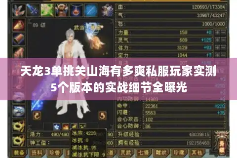 天龙3单挑关山海有多爽私服玩家实测5个版本的实战细节全曝光