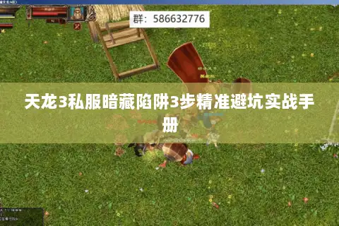 天龙3私服暗藏陷阱3步精准避坑实战手册 天龙3私服暗藏陷阱3步精准避坑实战手册