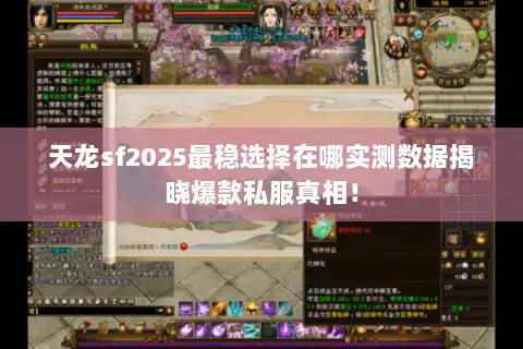 天龙sf2025最稳选择在哪实测数据揭晓爆款私服真相！