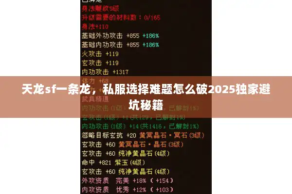 天龙sf一条龙，私服选择难题怎么破2025独家避坑秘籍