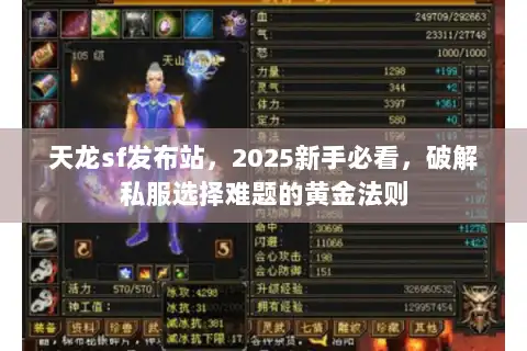 天龙sf发布站,2025新手必看,破解私服选择难题的黄金法则 天龙sf发布站,2025新手必看,破解私服选择难题的黄金法则