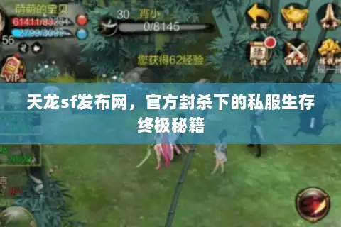 天龙sf发布网，官方封杀下的私服生存终极秘籍