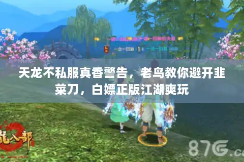 天龙不私服真香警告，老鸟教你避开韭菜刀，白嫖正版江湖爽玩