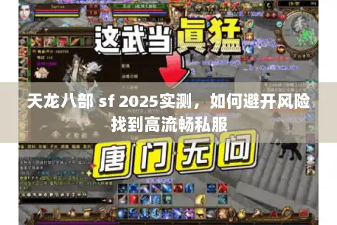 天龙八部 sf 2025实测，如何避开风险找到高流畅私服