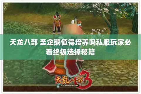 天龙八部 圣企鹅值得培养吗私服玩家必看终极选择秘籍