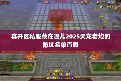 真开区私服藏在哪儿2025天龙老炮的防坑名单首曝