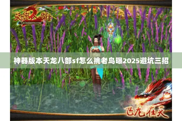 神器版本天龙八部sf怎么挑老鸟曝2025避坑三招