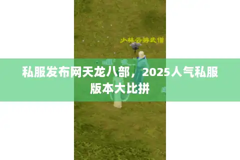 私服发布网天龙八部,2025人气私服版本大比拼 私服发布网天龙八部,2025人气私服版本大比拼
